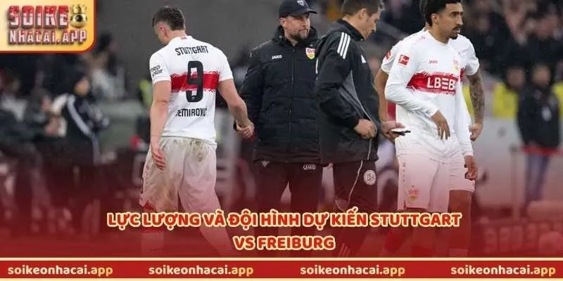 Lực lượng và đội hình dự kiến Stuttgart vs Freiburg