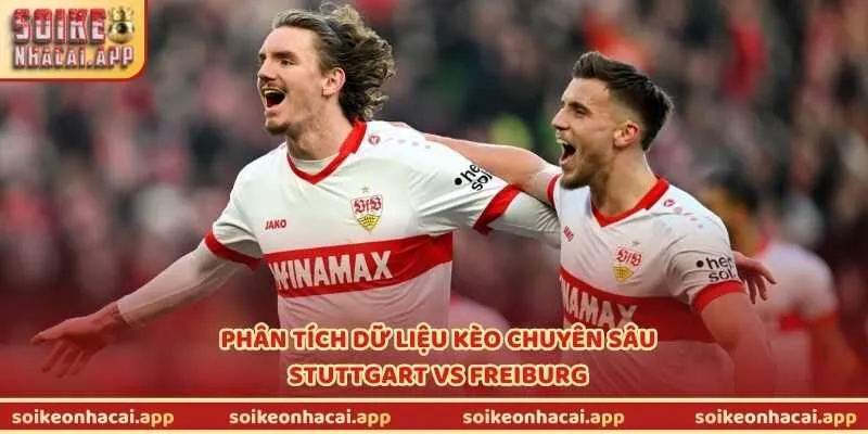 Phân tích dữ liệu kèo chuyên sâu Stuttgart vs Freiburg