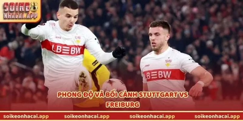 Phong độ và bối cảnh Stuttgart vs Freiburg