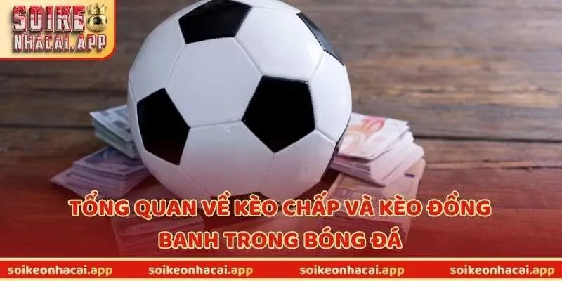 Tổng quan về kèo chấp và kèo đồng banh trong bóng đá