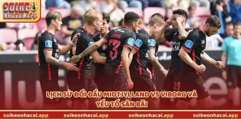 Lịch sử đối đầu Midtjylland vs Viborg và yếu tố sân bãi