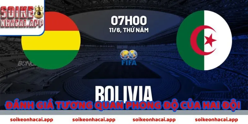 Tuyển Algeria tập luyện trước trận Nhận định Bolivia vs Algeria