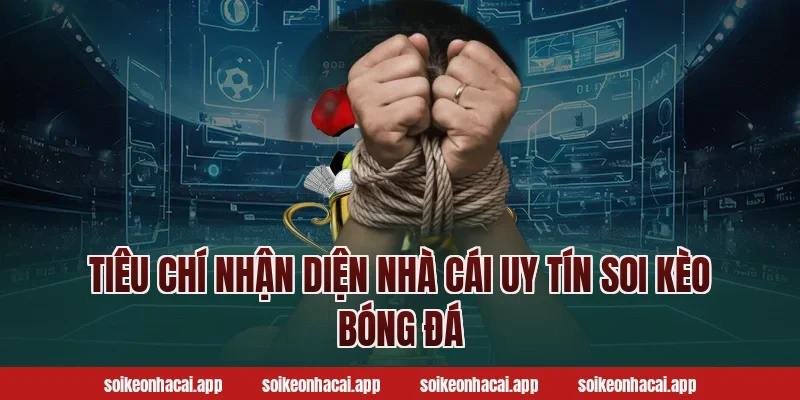 Tiêu chí nhận diện nhà cái uy tín soi kèo bóng đá 
